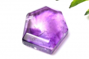 ڣʪ۴ɻ ȥԥå᥸ȡ24x22mm 饤 롼 _PC2616