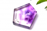 ڣʪ۴ɻ ȥԥå᥸ȡ26x22mm 饤 롼 _PC2617