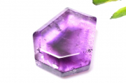 ڣʪ۴ɻ ȥԥå᥸ȡ26x23mm 饤 롼 _PC2618