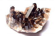 ڣʪ۾ ⡼ġ72x56x33mm饹  _CG6185ؤΤߡ