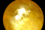 ڣʪۥåĥ 륵ȡ60mmݶ(դ) ե _CG6217ؤΤߡ