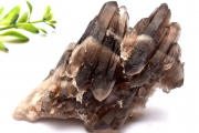 ڣʪ۾ ⡼ġ100x62x39mm饹  _CG6268ؤΤߡ