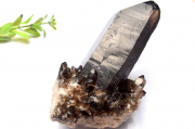 ڣʪ۾ ⡼ġ128x72x52mm饹  _CG6274ؤΤߡ