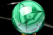 ڣʪ۹ȯ ޥ饫()51mmݶ(դ ) ե _CG6286ؤΤߡ