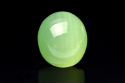 ڣʪƩ ڥƥ()19x12mmХ 롼 _PC3121