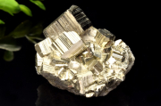 ڣʪۥڥ롼徽 ѥ饤ȡ38x31x30mm _CG6312ؤΤߡ