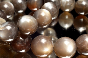 ɻ ֥åСࡼ󥹥ȡ7.5mm֥쥹å 1 _BG5708-75