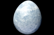 ڣʪ۴ 쥹(ŷ)55x56x68mmޤ  ʪ _CG6339ؤΤߡ