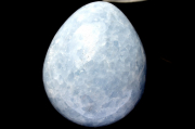 ڣʪ۴ 쥹(ŷ)57x57x70mmޤ  ʪ _CG6341ؤΤߡ
