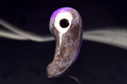 ڣʪ۹ȯ䤷 饤()23x10mm 롼 _PC3718