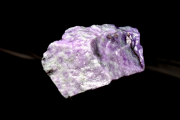 ڣʪ۾ȯѡץ 饤()22x15mm _PC3731