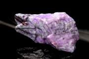 ڣʪ۾ȯѡץ 饤()31x20mm _PC3732