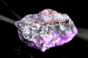ڣʪ۾ȯѡץ 饤()29x24mm _PC3737