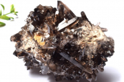ڣʪ۾ ⡼ġ93x63x76mm饹  _CG6392ؤΤߡ