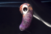 ڣʪۻҡ 饤()20x10mm 롼 _PC4767