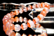 ڣʪ۴ޥ뻺 ʥС󥫥륻ɥˡ8mm֥쥹å _MA6276