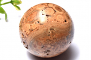 ڣʪۥ ζܼС45mmݶ(դ) ե _CG6420ؤΤߡ