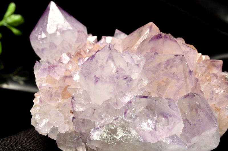 1点物】南アフリカ産 サボテンアメジスト(カクタスクォーツ