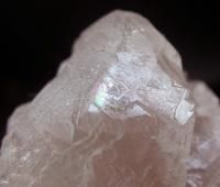 トライゴーニック水晶 - 水晶天然石専門店ムーンマッドネス