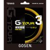 G-TOUR 3