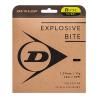 ダンロップ〔DUNLOP〕 EXPLOSIVE BITE