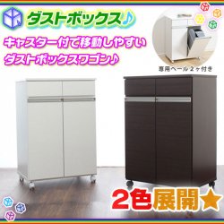 2分別 ダストボックス 引出し付 ゴミ箱 収納 キャスター搭載 ダストワゴン 分別ごみ箱 キッチンゴミ箱 専用ペール付 -  aimcube（エイムキューブ）-インテリア・家具・雑貨・ハンドメイド作品