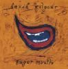 DAVID KILGOUR / Sugar Mouth (CD)<img class='new_mark_img2' src='https://img.shop-pro.jp/img/new/icons50.gif' style='border:none;display:inline;margin:0px;padding:0px;width:auto;' />