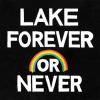 LAKE / Forever Or Never (CD)<img class='new_mark_img2' src='https://img.shop-pro.jp/img/new/icons50.gif' style='border:none;display:inline;margin:0px;padding:0px;width:auto;' />