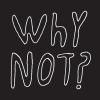 HALF JAPANESE / Why Not? (LP)<img class='new_mark_img2' src='https://img.shop-pro.jp/img/new/icons50.gif' style='border:none;display:inline;margin:0px;padding:0px;width:auto;' />