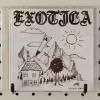 EXOTICA / musique exotique - Complete Discography (CD)<img class='new_mark_img2' src='https://img.shop-pro.jp/img/new/icons50.gif' style='border:none;display:inline;margin:0px;padding:0px;width:auto;' />