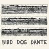 JOHN PARISH / Bird Dog Dante (LP)<img class='new_mark_img2' src='https://img.shop-pro.jp/img/new/icons50.gif' style='border:none;display:inline;margin:0px;padding:0px;width:auto;' />