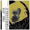 JOY FORMIDABLE / Whirring (7
