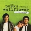 VARIOUS / The Perks of Being a Wallflower Soundtrack (LP)<img class='new_mark_img2' src='https://img.shop-pro.jp/img/new/icons50.gif' style='border:none;display:inline;margin:0px;padding:0px;width:auto;' />
