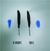 RAYOGRAPHS / Francis (7