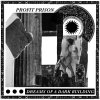 PROFIT PRISON /  Dreams of a Dark Building (MLP)<img class='new_mark_img2' src='https://img.shop-pro.jp/img/new/icons50.gif' style='border:none;display:inline;margin:0px;padding:0px;width:auto;' />