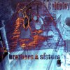 COLDPLAY / Brothers & Sisters (7INCH - LTD. PINK VINYL)<img class='new_mark_img2' src='https://img.shop-pro.jp/img/new/icons50.gif' style='border:none;display:inline;margin:0px;padding:0px;width:auto;' />
