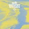 VARIOUS / Soft Summer Breezes (LP - LTD. SUMMER SUN VINYL)<img class='new_mark_img2' src='https://img.shop-pro.jp/img/new/icons50.gif' style='border:none;display:inline;margin:0px;padding:0px;width:auto;' />