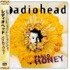 <img class='new_mark_img1' src='https://img.shop-pro.jp/img/new/icons1.gif' style='border:none;display:inline;margin:0px;padding:0px;width:auto;' />RADIOHEAD / Pablo Honey (LP)