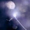 sugar plant / headlights (CD)<img class='new_mark_img2' src='https://img.shop-pro.jp/img/new/icons50.gif' style='border:none;display:inline;margin:0px;padding:0px;width:auto;' />