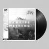 <img class='new_mark_img1' src='https://img.shop-pro.jp/img/new/icons1.gif' style='border:none;display:inline;margin:0px;padding:0px;width:auto;' />VAMPIRE WEEKEND / Modern Vampires of the City (LP+OBI)