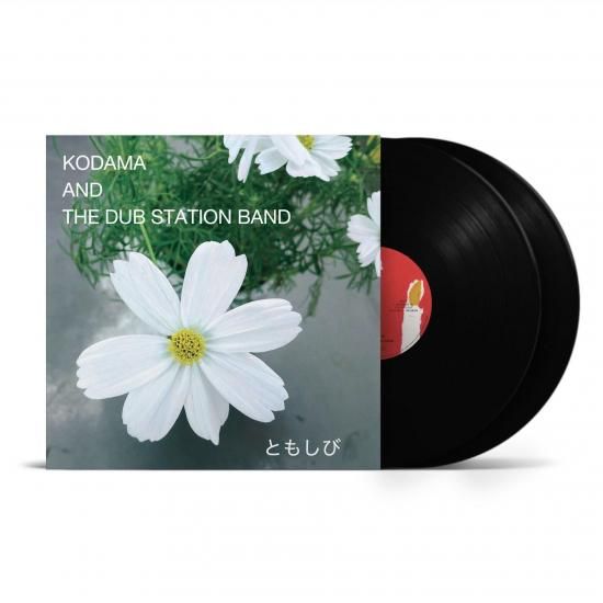 洋楽 MORE / Kodama & The Dub Station Band 洋楽 MORE / Kodama & The Dub Station Band Amazon.co.jp: MORE (DVD