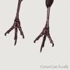 <img class='new_mark_img1' src='https://img.shop-pro.jp/img/new/icons1.gif' style='border:none;display:inline;margin:0px;padding:0px;width:auto;' />Crows Caw Loudly / S/T (7INCH X 2)