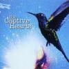 CAPTIVE HEARTS / Hummingbird (CD)<img class='new_mark_img2' src='https://img.shop-pro.jp/img/new/icons50.gif' style='border:none;display:inline;margin:0px;padding:0px;width:auto;' />