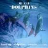 MI AMI / Dolphins (12