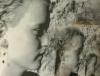 KEEP SHELLY IN ATHENS / S/T (TAPE)<img class='new_mark_img2' src='https://img.shop-pro.jp/img/new/icons50.gif' style='border:none;display:inline;margin:0px;padding:0px;width:auto;' />