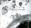 CRASS / The Feeding of the Five Thousand (CD)<img class='new_mark_img2' src='https://img.shop-pro.jp/img/new/icons50.gif' style='border:none;display:inline;margin:0px;padding:0px;width:auto;' />