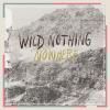 WILD NOTHING / Nowhere (7