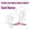 SAD HORSE / Purple On Purple Makes Purple (LP)<img class='new_mark_img2' src='https://img.shop-pro.jp/img/new/icons50.gif' style='border:none;display:inline;margin:0px;padding:0px;width:auto;' />