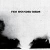 TWO WOUNDED BIRDS / S/T (CD)<img class='new_mark_img2' src='https://img.shop-pro.jp/img/new/icons50.gif' style='border:none;display:inline;margin:0px;padding:0px;width:auto;' />