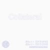 COLLATERAL / S/T (12